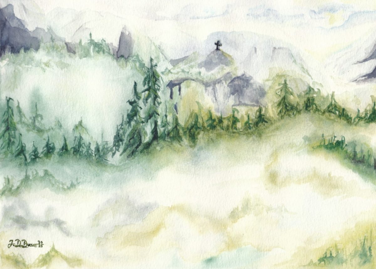 Nebelwald // 26,5 x 19 cm